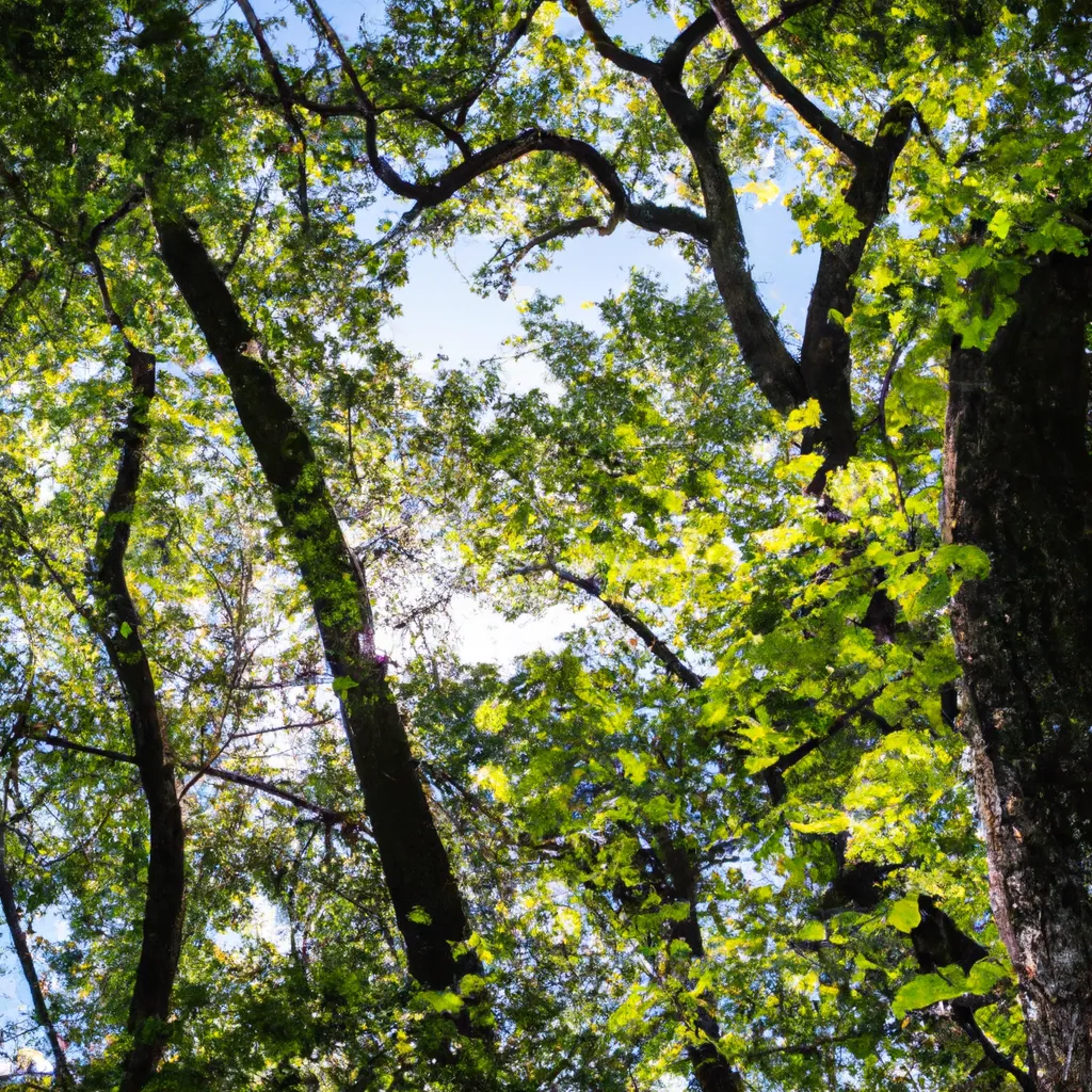 Czym jest zrównoważony rozwój?
